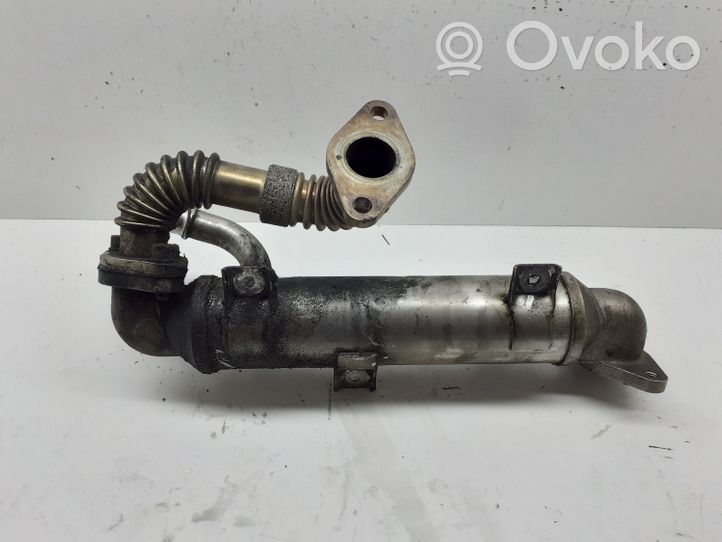 Volkswagen PASSAT B5 EGR aušintuvas 