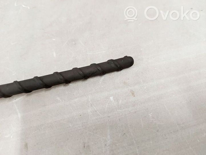 KIA Carens III Antenna autoradio 