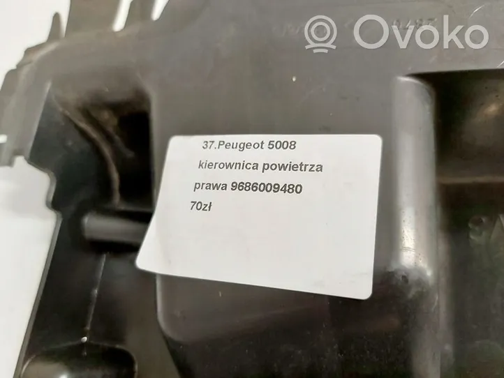 Peugeot 5008 Conduit d'air de frein 9686009480