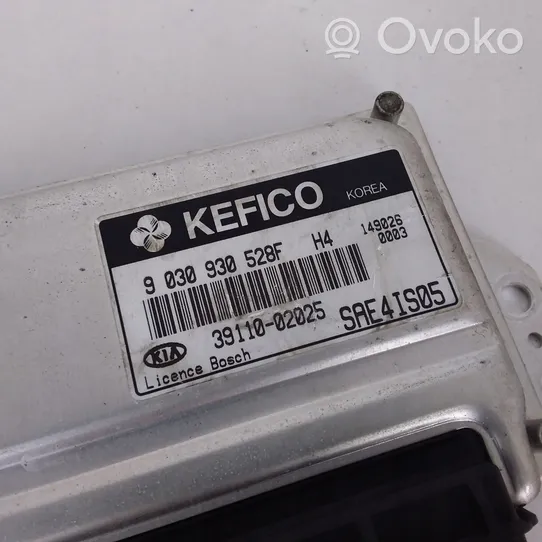 KIA Picanto Sterownik / Moduł ECU 3911002025