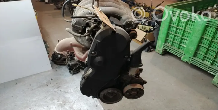 Volvo 440 Motor 