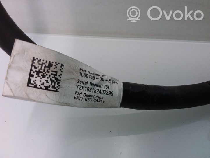 Tesla Model 3 Minuskabel Massekabel Batterie 106876800E