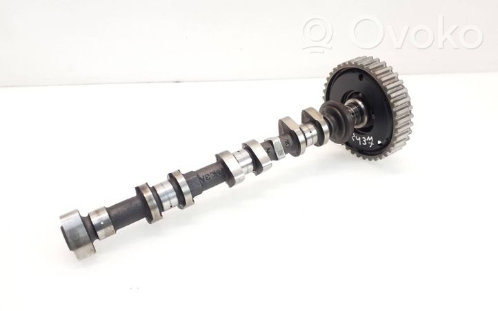 Ford Focus Albero a camme CM5G6C524EA