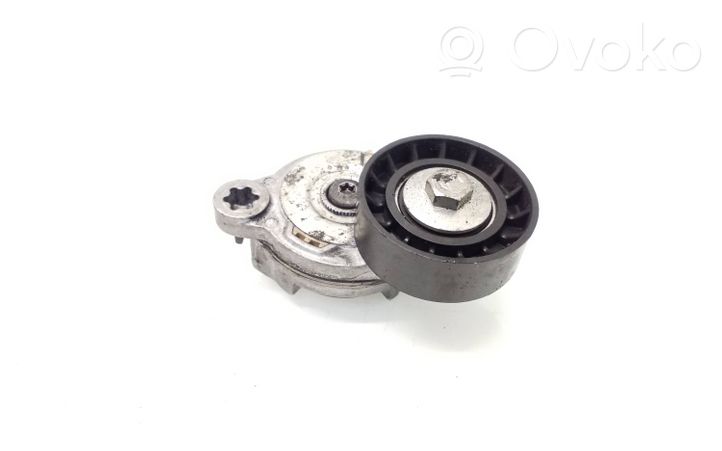 Volvo V60 Napinacz paska wielorowkowego / Alternatora 2FL84TF155