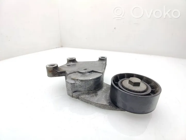 Volvo V40 Tendicinghia generatore/alternatore TF129B