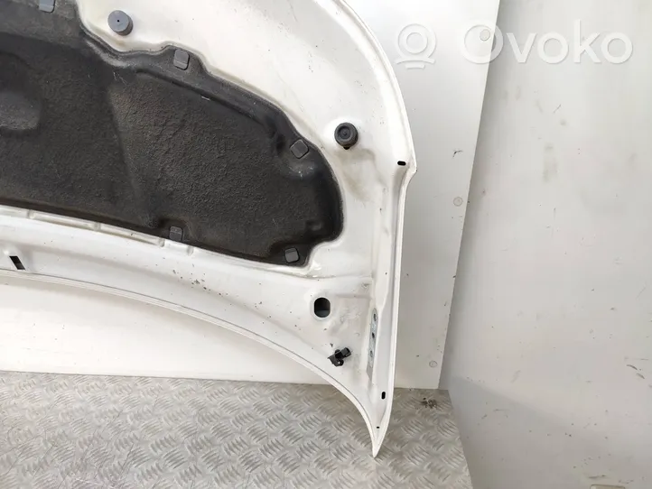 Volkswagen Transporter - Caravelle T5 Engine bonnet/hood 