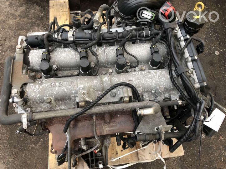 Iveco Daily 35.8 - 9 Moteur 504145196