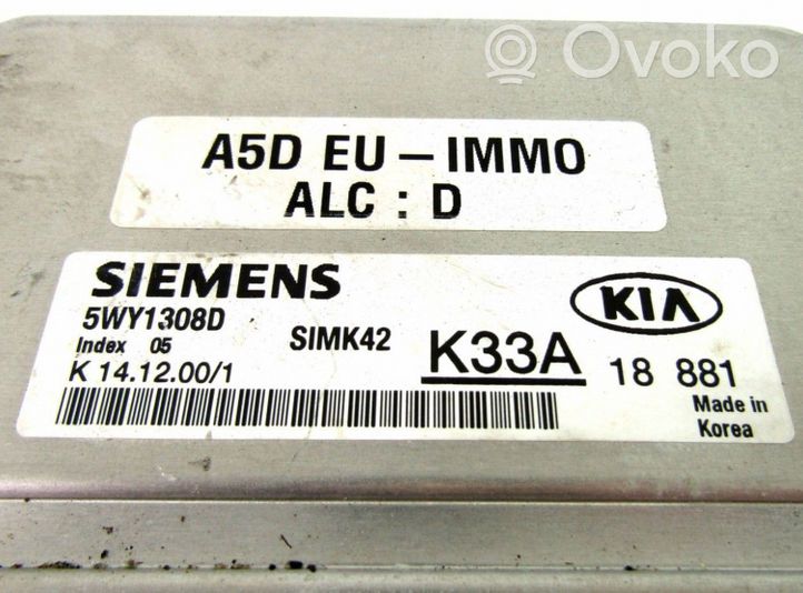 KIA Rio Sterownik / Moduł ECU 