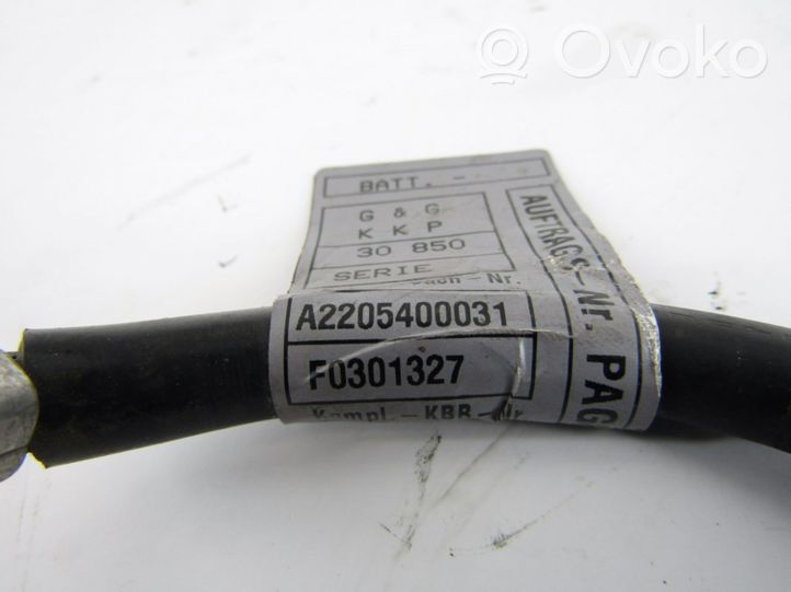 Mercedes-Benz S W220 Cable negativo de tierra (batería) 