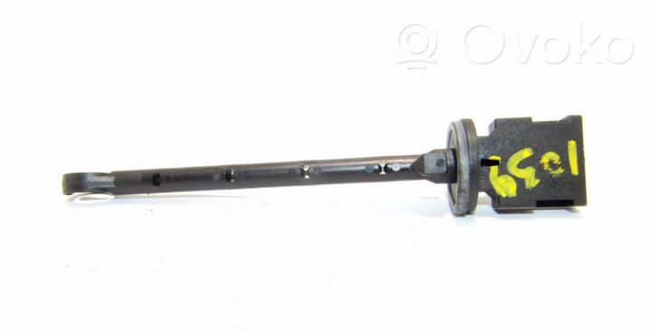 Volkswagen Phaeton Intake air temperature sensor 