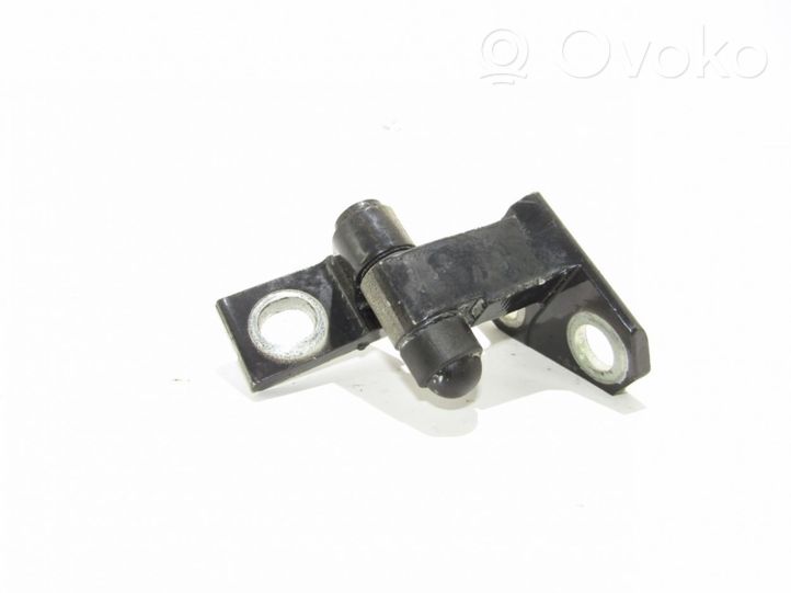 Volkswagen PASSAT B7 Rear door hinge set 