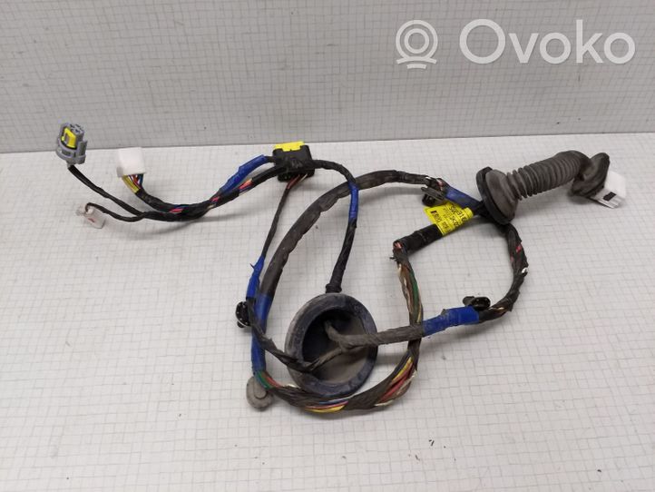 Hyundai Sonata Rear door wiring loom 916603K021