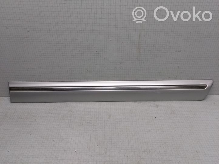 Mercedes-Benz E W210 Rivestimento portiera posteriore (modanatura) A2106900582