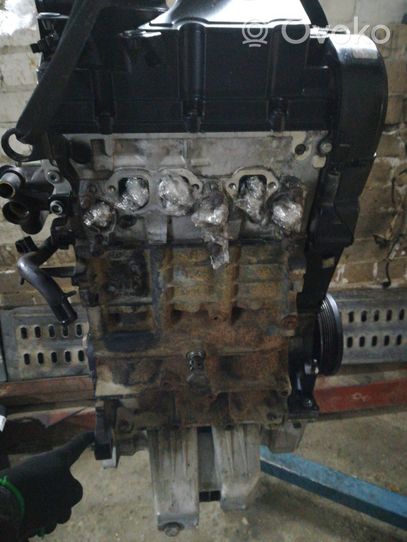 Volkswagen Polo IV 9N3 Motor AVB171930