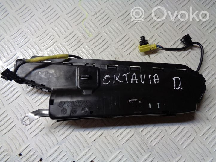 Skoda Octavia Mk2 (1Z) Poduszka powietrzna Airbag fotela 1K4880242