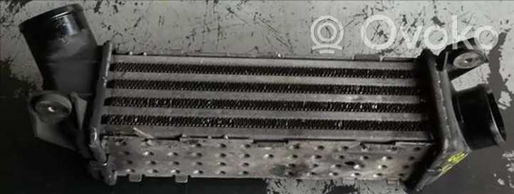 Seat Cordoba (6K) Chłodnica powietrza doładowującego / Intercooler 