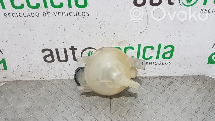 Citroen C4 I Vaso di espansione carburante 