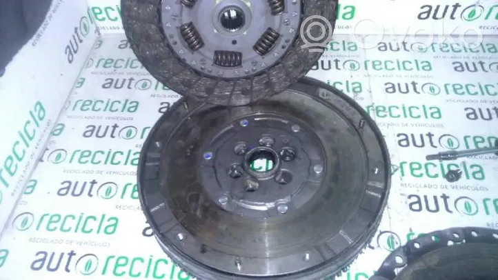 Volkswagen PASSAT Dual mass flywheel 