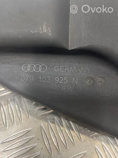 Audi A8 S8 D4 4H Variklio dangtis (apdaila) 079103925N