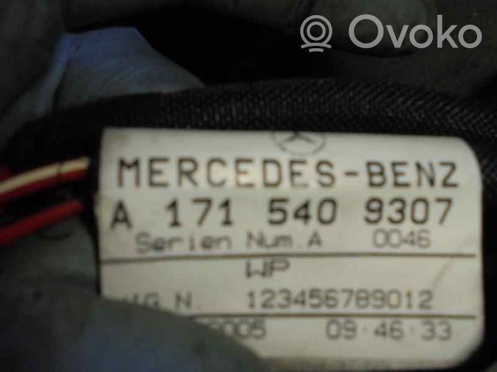 Mercedes-Benz SLK R171 Muu johtosarja A1715400209