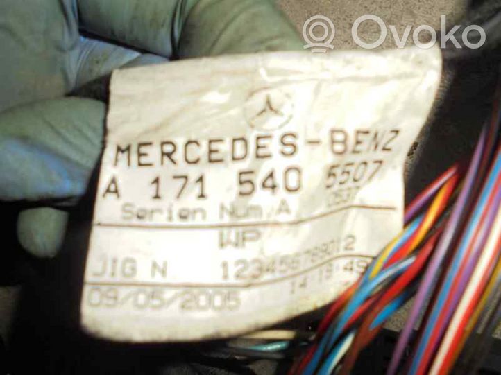 Mercedes-Benz SLK R171 Muu johtosarja A1715400209