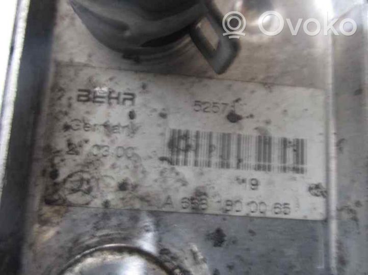 Mercedes-Benz A W168 Radiateur d'huile moteur A6681800065