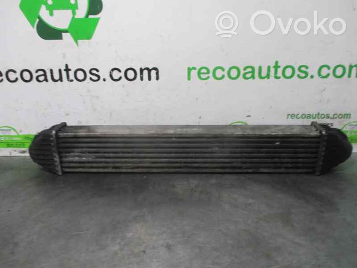 Mercedes-Benz A W169 Radiatore intercooler A169500000