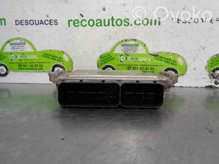 KIA Carens II Sterownik / Moduł ECU 3911627485