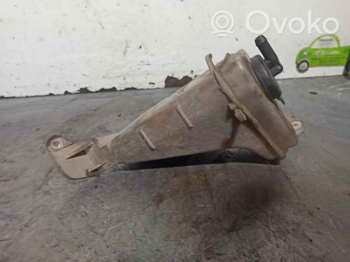 Hyundai Accent Serbatoio di compensazione del liquido refrigerante/vaschetta 2543125100