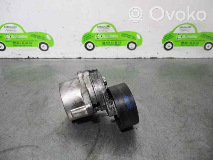 Mercedes-Benz Vito Viano W638 Tendicinghia generatore/alternatore 