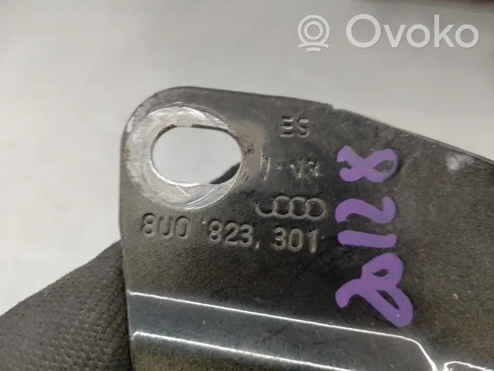 Audi Q3 8U Cerniere del vano motore/cofano 8U0823302