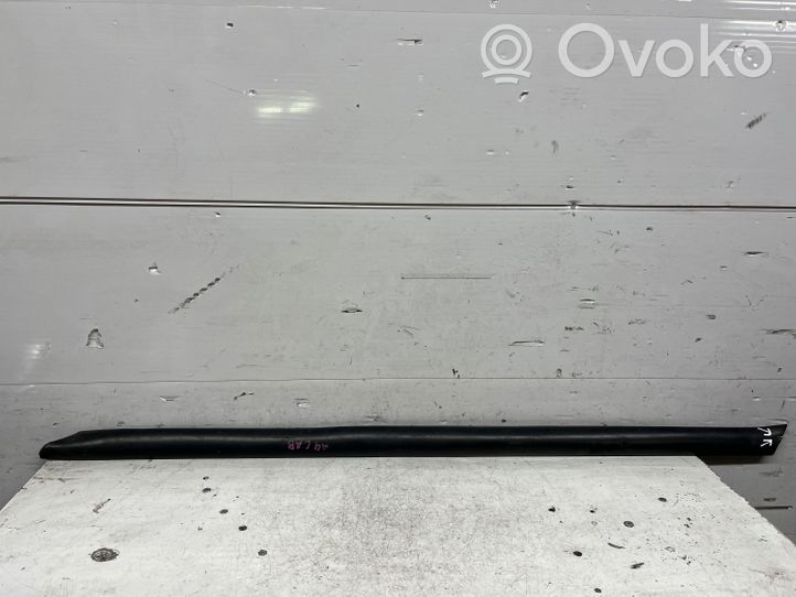 Audi A4 S4 B6 8E 8H Priekšpusē durvju dekoratīvā apdare (moldings) 