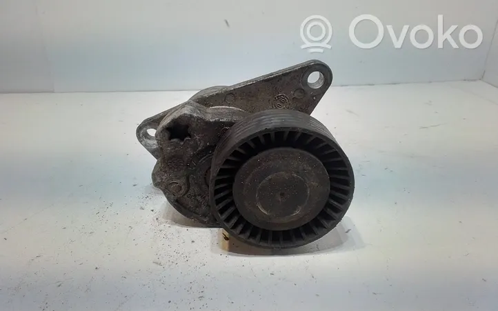 Volvo S70  V70  V70 XC Generator/alternator belt tensioner 