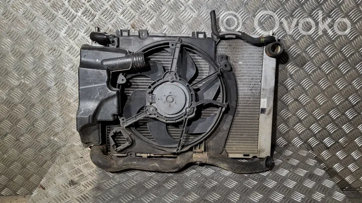 Renault Clio III Radiateur de refroidissement 8200365427