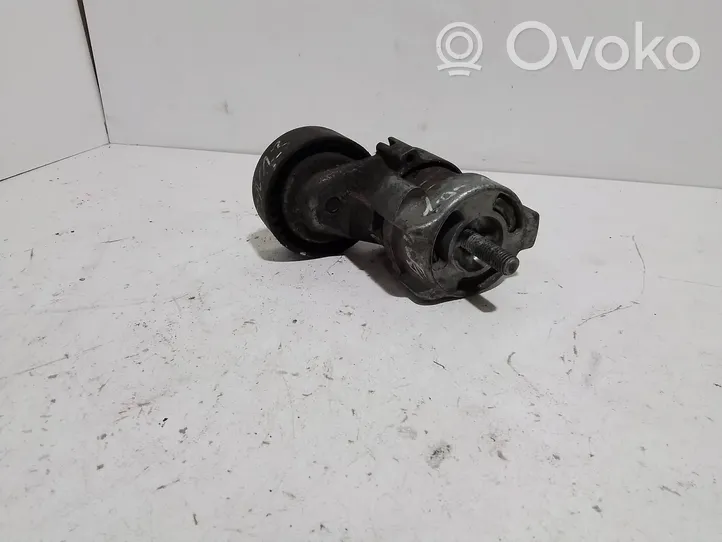 BMW 3 E46 Tensor de correa del alternador 1128144037765246