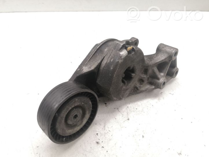 Audi TT Mk1 Napinacz paska alternatora 