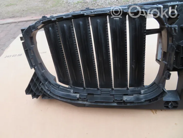 BMW X3 G01 Radiatoru dekoratīvā apdare 749722705