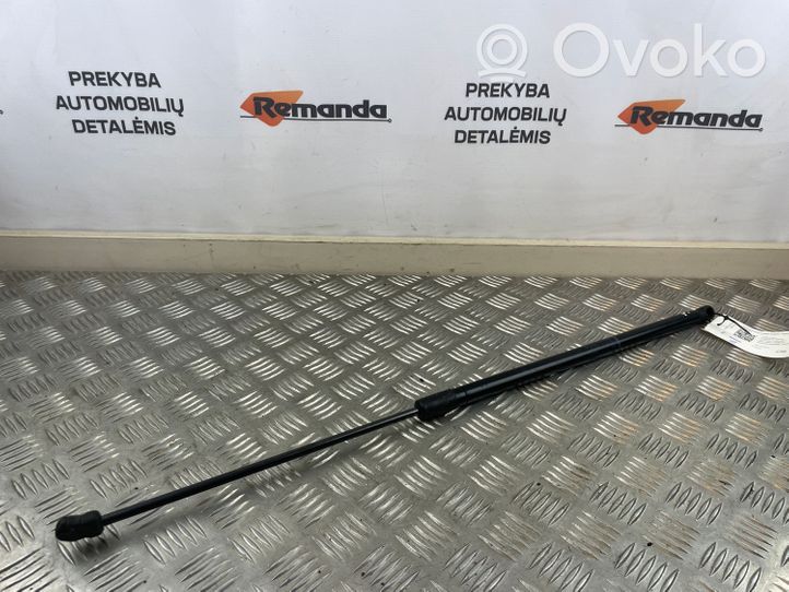 Volkswagen PASSAT CC Ammortizzatore portellone anteriore/cofano 3C8823359