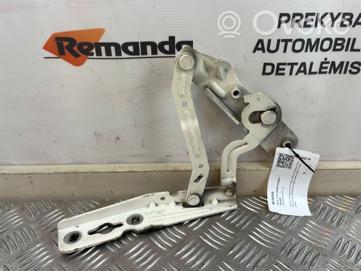 Ford Ecosport Vyris (-iai) variklio dangčio CN1516801CB