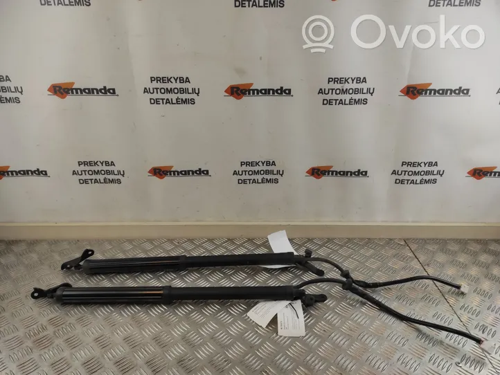 Toyota RAV 4 (XA50) Jambe de force de hayon 6891042060