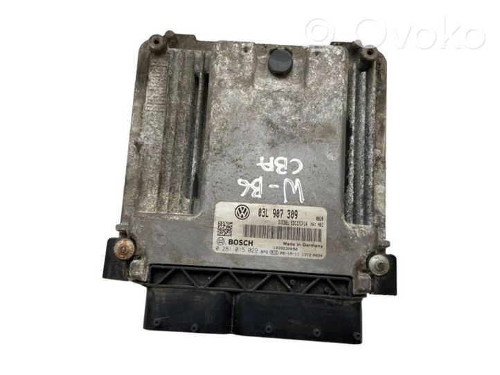 Volkswagen PASSAT B6 Sterownik / Moduł ECU 03L907309