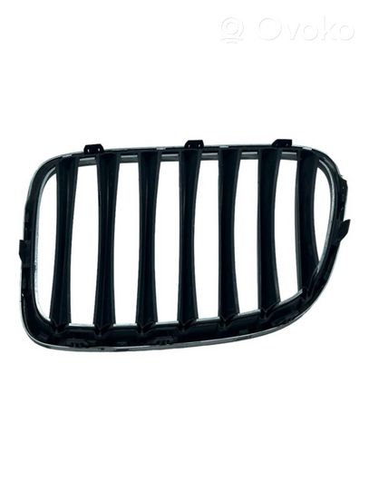 BMW X1 E84 Maskownica / Grill / Atrapa górna chłodnicy 10627110