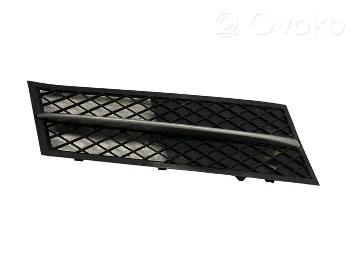 BMW 5 F10 F11 Grille inférieure de pare-chocs avant 51117200700