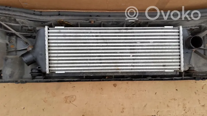 Opel Vivaro Radiator support slam panel 