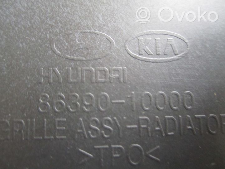 KIA Carens II Grotelės viršutinės 863901D001