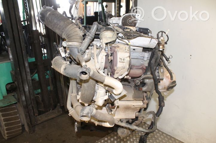 Volkswagen Tiguan Motor CUV