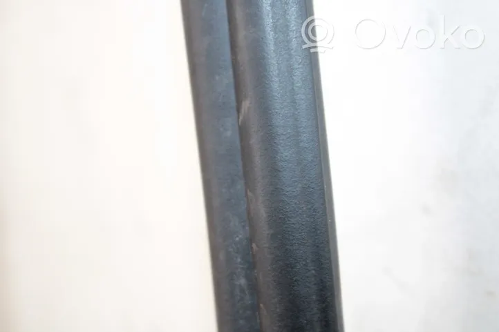 Volkswagen Tiguan Trunk rubber seal (body) 