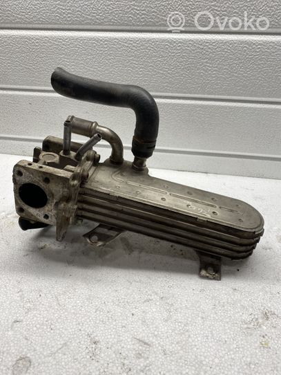 Volkswagen Golf IV EGR valve cooler 038131513D