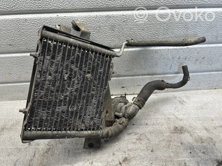 Volkswagen PASSAT B5 Radiateur de refroidissement 8D0203503A