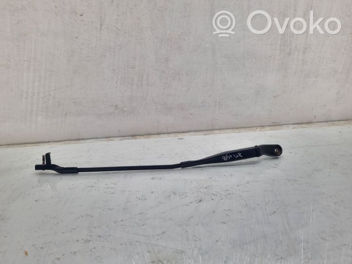 Volkswagen PASSAT B5.5 Braccio della spazzola tergicristallo anteriore 3B1955410B